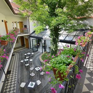 Hotel At The White Lily